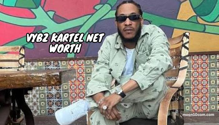 vybz kartel net worth